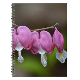 Bleeding Heart - bärbar dator Anteckningsbok Med Spiral