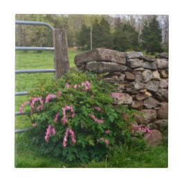 Bleeding Heart Tile Kakelplatta