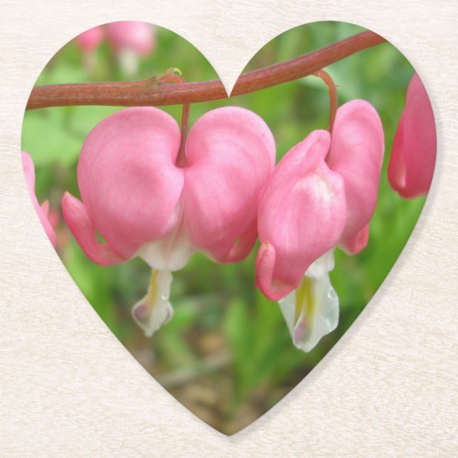 "Bleeding Heart" Underlägg Papper (Framsida)