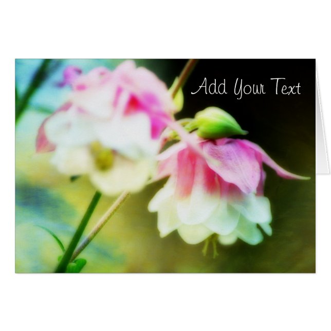 Bleeding Hearts av Shirley Taylor Hälsningskort (Framsidan Horizontal)