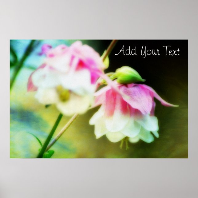 Bleeding Hearts by Shirley Taylor Poster (Framsidan)