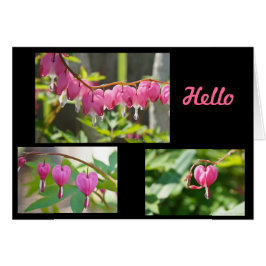 Bleeding Hearts Flowers OBS Kort
