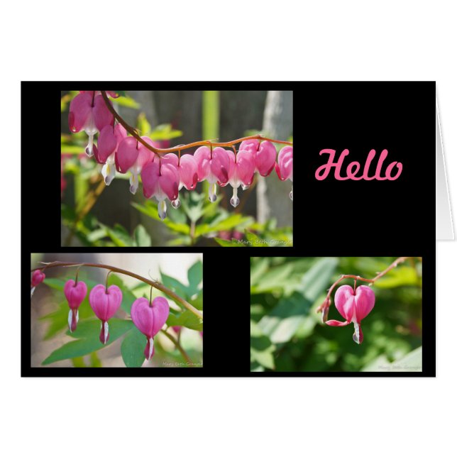 Bleeding Hearts Flowers OBS Kort (Framsidan Horizontal)