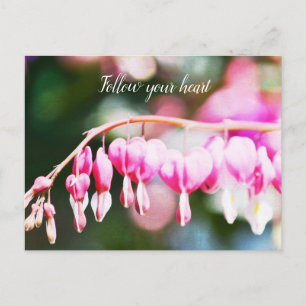 Bleeding Hearts Flowers Vykort