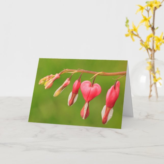 Bleeding Hearts Grattis på födelsedagen Card Kort (Gul blomma)