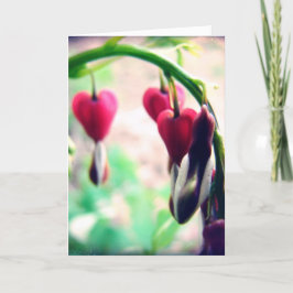 Bleeding Hearts Mors dag Kort