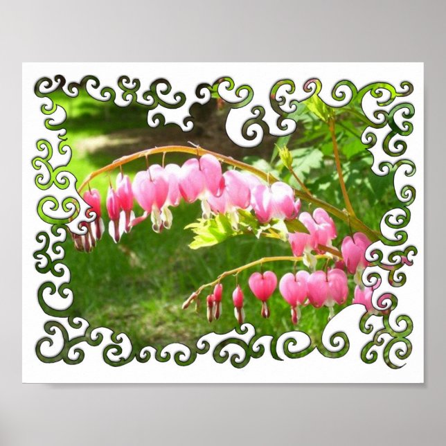 Bleeding Hearts Swirley Poster (Framsidan)