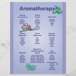Blek Blue Aromatreatment Chart Flyer