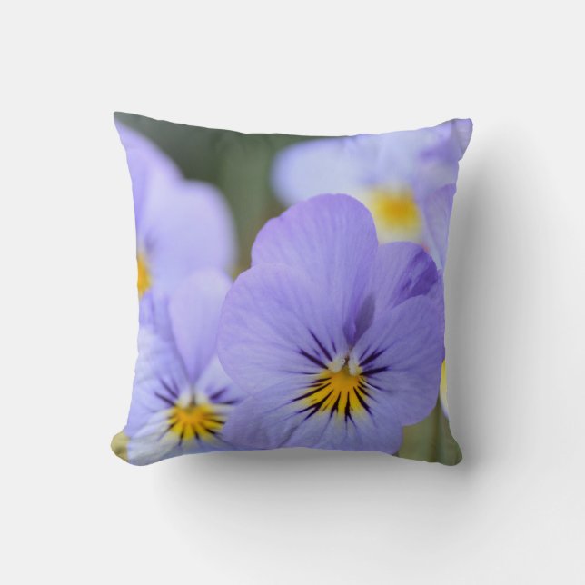 Blek Blue Pansies Dekorativ kudde (Framsida)