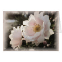 Blek Gamla Fashioned Ro