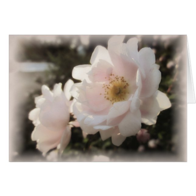 Blek Gamla Fashioned Ro Hälsningskort (Framsidan Horizontal)