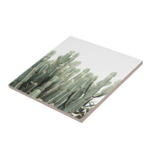 Blek Grönt Cactus Plants Mönster Kakelplatta