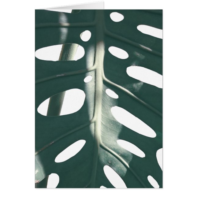 Blek Grönt Pastel Swiss Cheese Plant Greeting Card Hälsningskort (Framsidan)