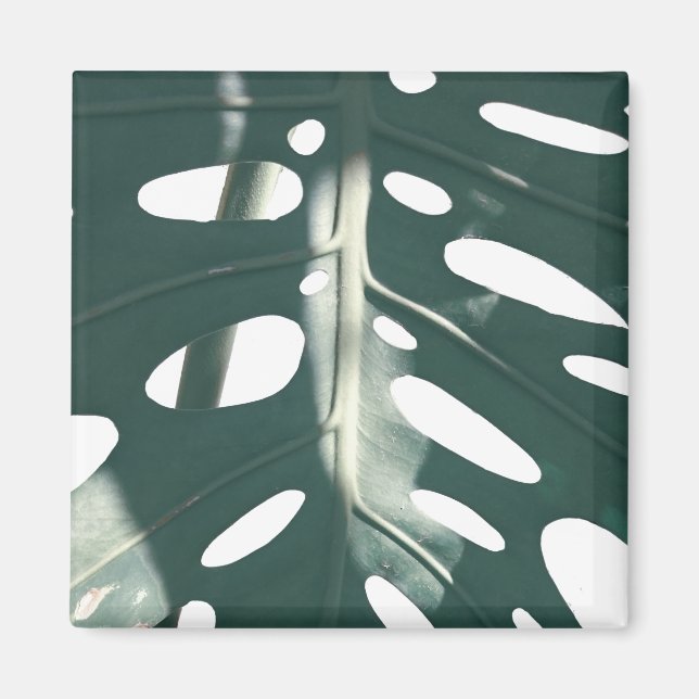 Blek Grönt Pastel Swiss Cheese Plant Magnet (Framsidan)