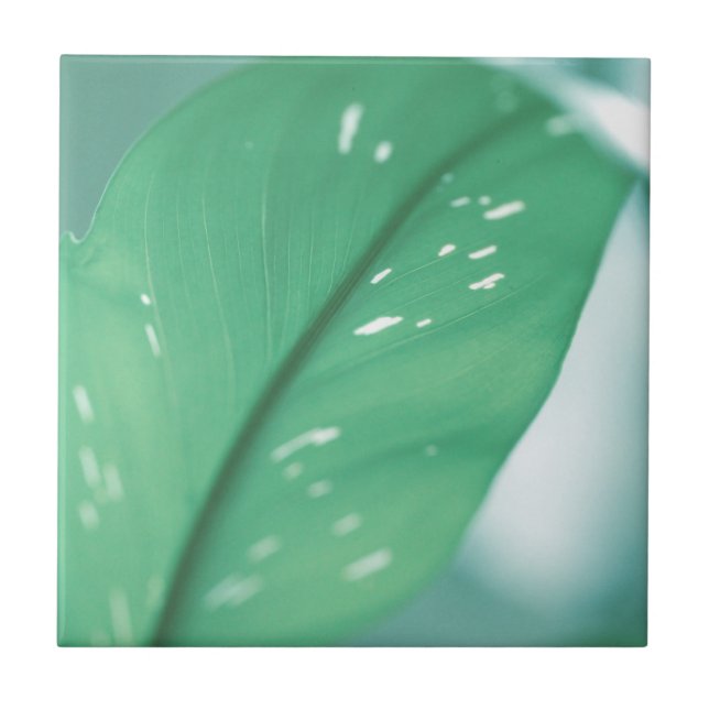 Blek Grönt Plant Löv Natur Feel Kakelplatta (Framsidan)