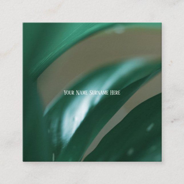 Blek Grönt Plant Lövs Nature Feel Affärskort Fyrkantigt Visitkort (Framsida)