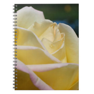 Blek Gul ros blomningstyp Anteckningsbok