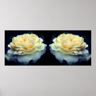 Blek Gul ros i Bloom Spegel Abstrakt Poster