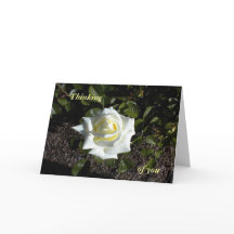 Blek Gul ros: Tankar på dig