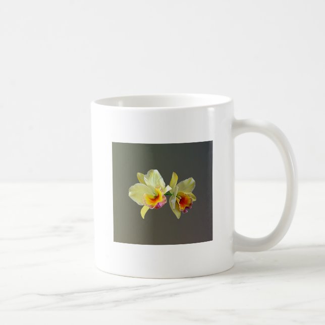 Blek Gult Cattleya Orchids Coffee Mugg (Höger)