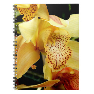 Blek Gult Cymbidium Orchid Photo Notebook Anteckningsbok