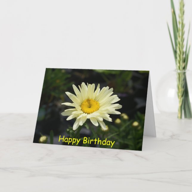 Blek Gult Daisy, Grattis på födelsedagen Kort (Framsida)