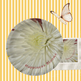 Blek Gult och vit Chrysanthemum Blommar