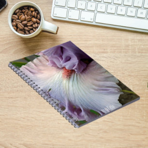 Blek Lila Bearded Iris Blommigt Anteckningsbok