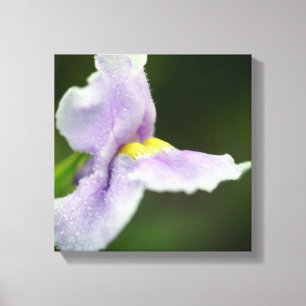 Blek Lila Orchid Wildblomma Canvastryck