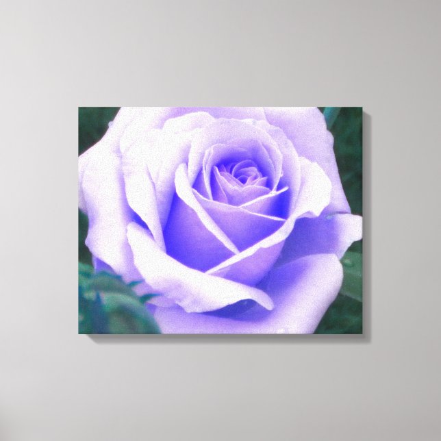 Blek Lila Ro Wrapped Canvas Skriv ut (Framsida)