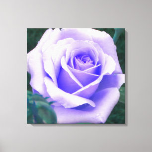 Blek Lila Ro Wrapped Canvas Skriv ut