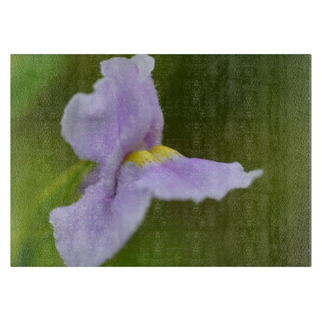 Blek Lila Vild Orchid Flower (Framsidan)