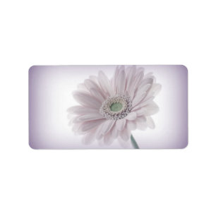 Blek Lilac-solrosetiketter Adressetikett