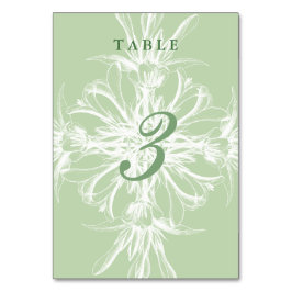 Blek Mint och White Blommigt Bröllop Bordsnummer
