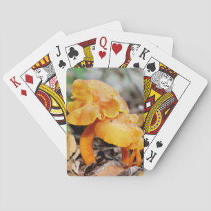 Blek Orange Vild Mushroom Family Natature Casinokort