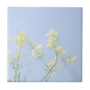 Blek Pastel Blå himmel Vild Flowers Meadow Kakelplatta