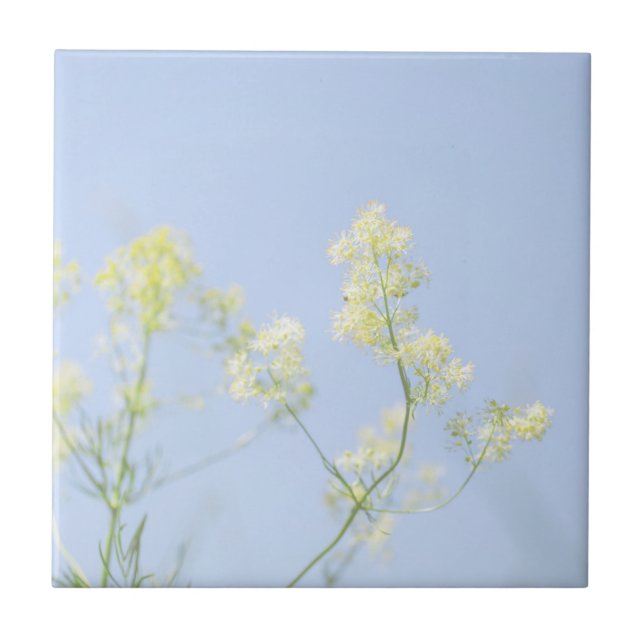 Blek Pastel Blå himmel Vild Flowers Meadow Kakelplatta (Framsidan)