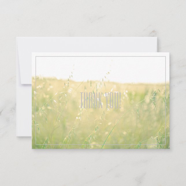 Blek Pastel Färg Fält Tack-platta kort (Framsida)