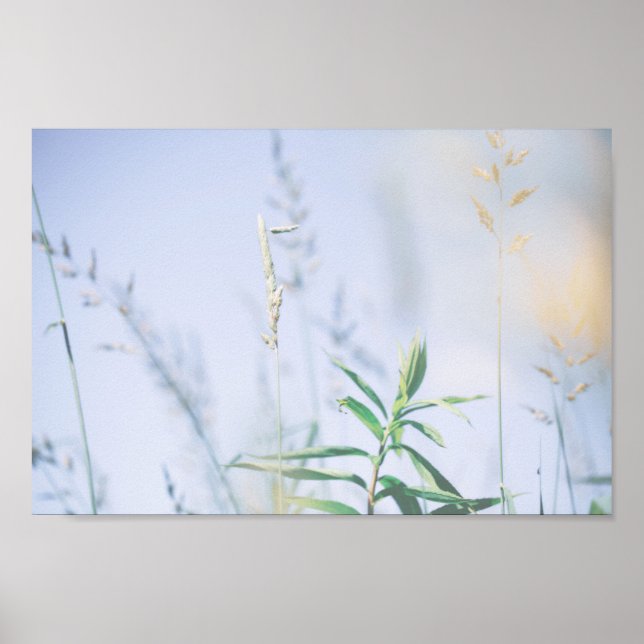 Blek Pastel Grönt Grass Reeds Meadow Himlar Poster (Framsidan)