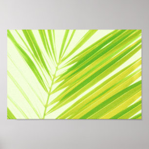 Blek Pastel Grönt Handflatan Träd Löv Poster