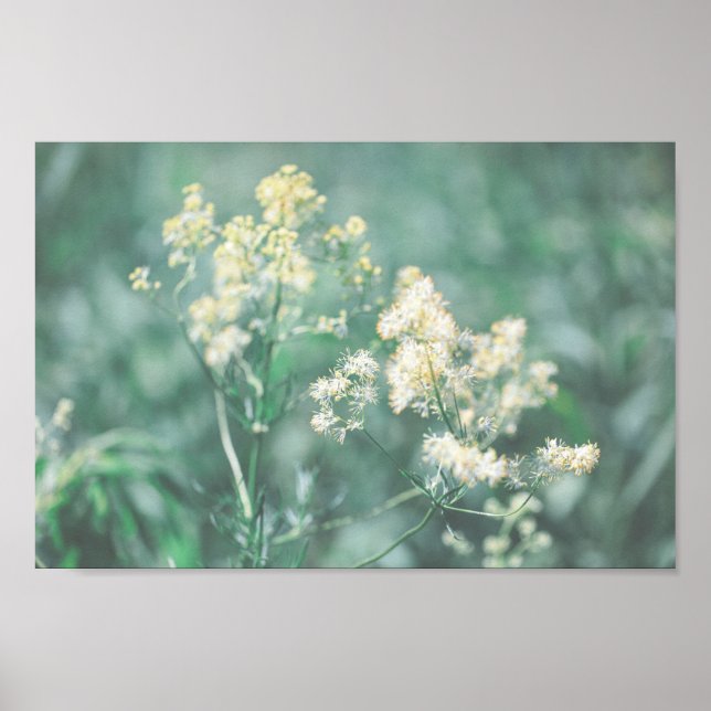 Blek Pastel Grönt Vild Flowers Meadow Poster (Framsidan)