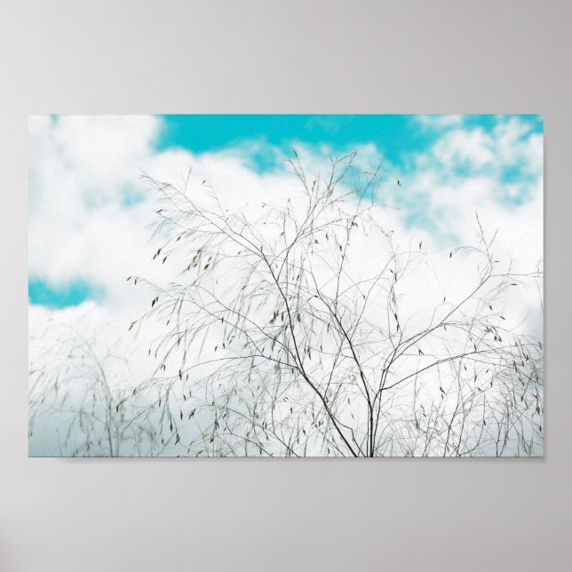 Blek Pastel Light Blue Turcos Träd Brunches Himlar Poster (Framsidan)