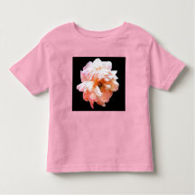 Blek Peach Peony på Black