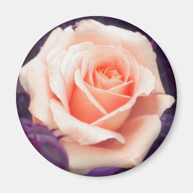 Blek Peach Ro Magnet (Framsidan)