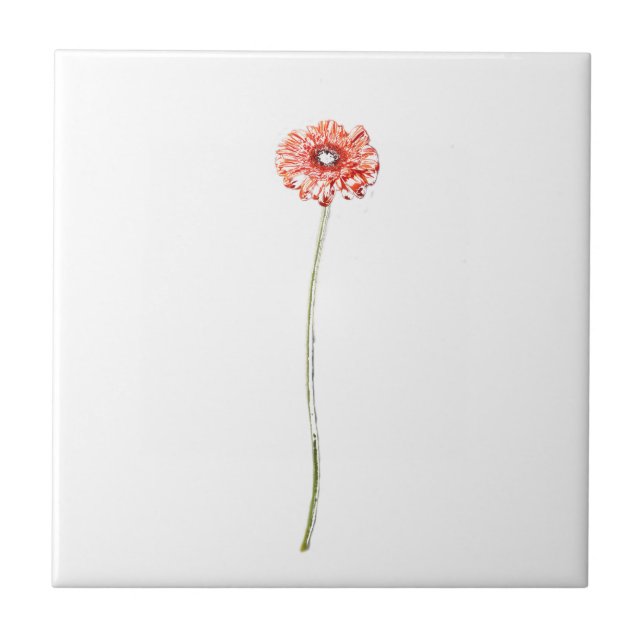 Blek Red Rosa Gerbera Flower Sketch Kakelplatta (Framsidan)