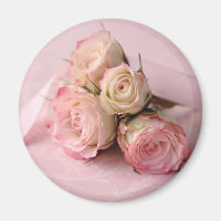blek ro på magnet för rosa-snurrar