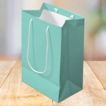 Blek Robin Egg Blue Solid Färg