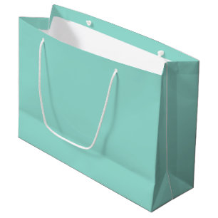 Blek Robin Egg Blue Solid Färg