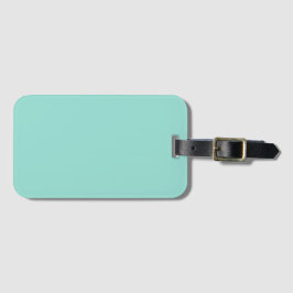 Blek Robin Egg Blue Solid Färg Bagagebricka