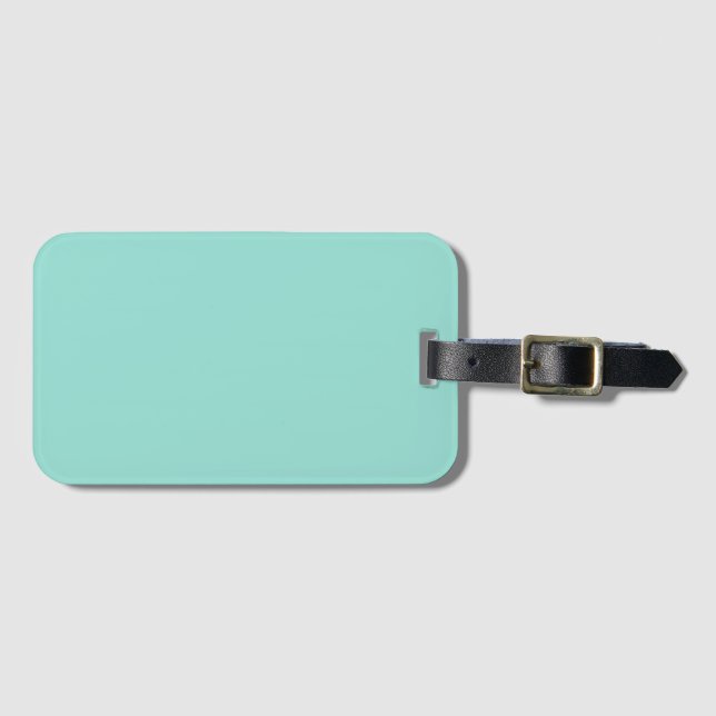 Blek Robin Egg Blue Solid Färg Bagagebricka (Framsida horisontal)